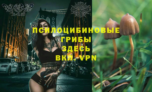 spice Алексин