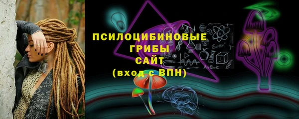 spice Алексин